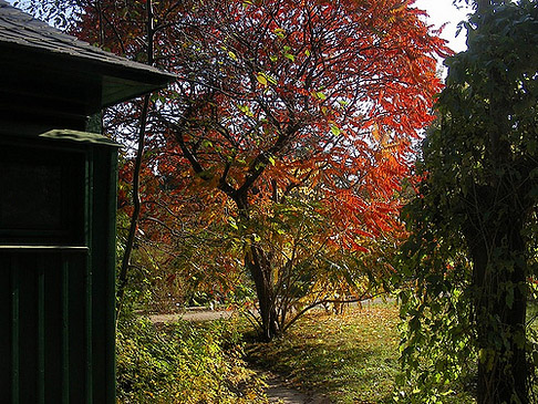 Im Botanischen Garten