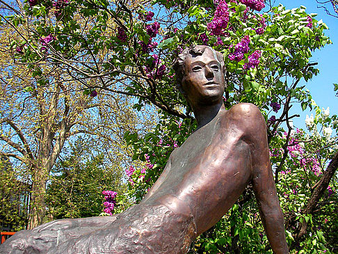 Erich Kästner Museum Foto Dresden