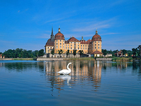 Schloss Moritzburg Fotos