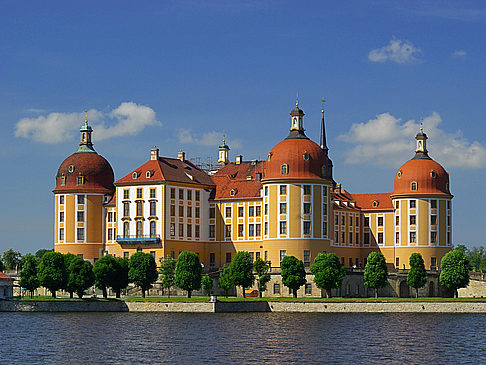 Schloss Moritzburg Foto Dresden