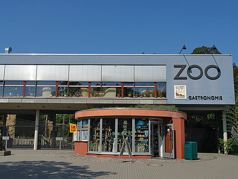 Zoo Dresden Foto 