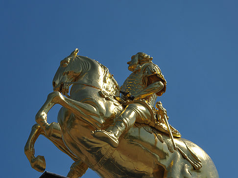 Foto Goldener Reiter Nahaufnahme