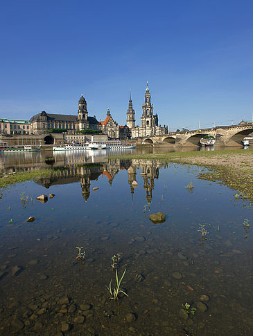Elbe Nahaufnahme Fotos