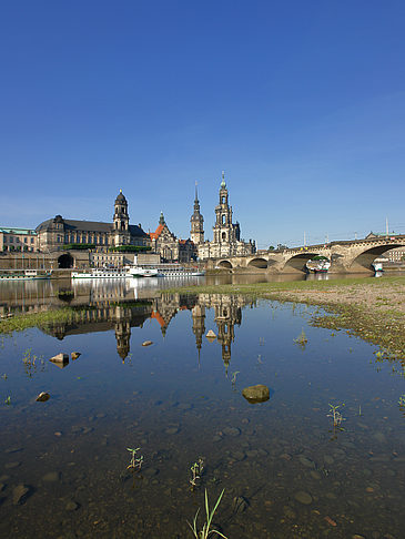 Fotos Elbe Nahaufnahme | Dresden
