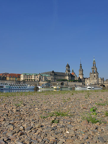 Fotos Ufer Nahaufnahme | Dresden