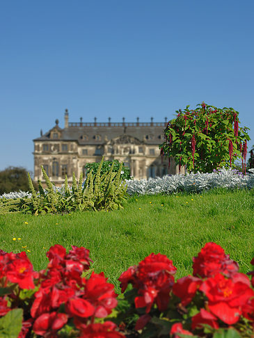 Blumen vor dem Palais Foto 