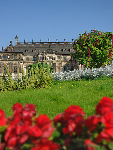 Fotos Blumen vor dem Palais