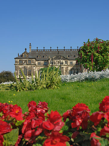 Blumen vor dem Palais