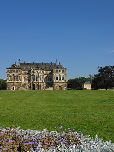 Blumen vor dem Palais