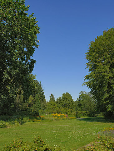 Wiese mit Bäumen Fotos