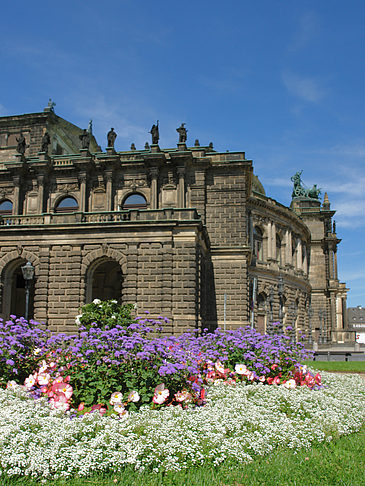 Foto Semperoper mit Blumen