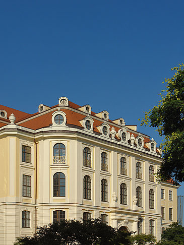 Blick durch Bäume