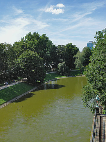 Zwingerteich Foto 