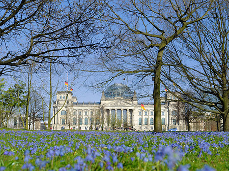 Blumenwiese am Reichstag - Berlin (Berlin)