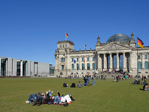 Wiese - Berlin (Berlin)