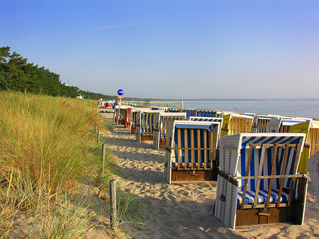 Dünen - Mecklenburg-Vorpommern (Ostseebad Binz)