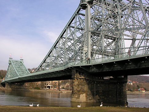 Fotos Blaues Wunder | Dresden