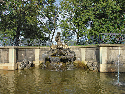 Fotos Delphinbrunnen | Dresden