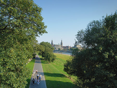Canalettoblick durch Bäume Fotos