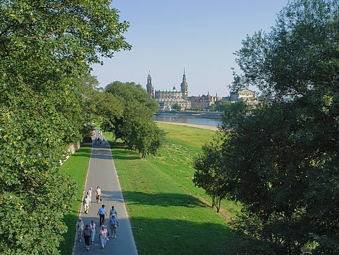 Foto Canalettoblick durch Bäume