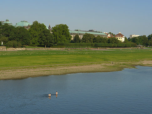 Foto Boot auf der Elbe - Dresden