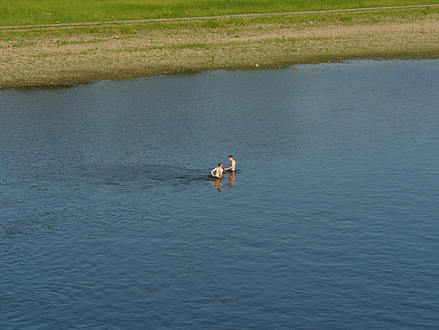 Boot auf der Elbe Fotos