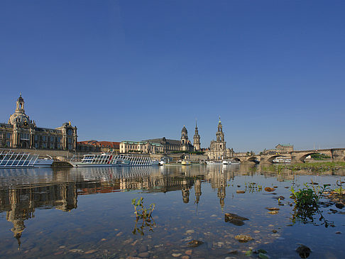 Fotos Elbe Nahaufnahme | Dresden