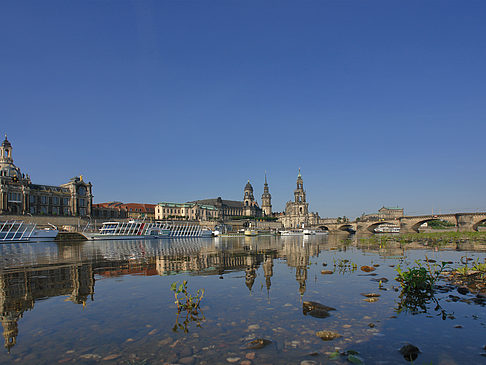 Elbe Nahaufnahme Fotos