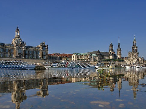 Elbe Nahaufnahme Foto 