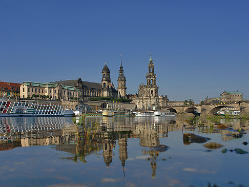 Elbe Nahaufnahme Fotos