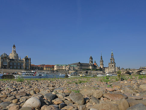 Fotos Ufer Nahaufnahme | Dresden