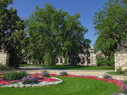 Garten vor Frauenkirche Foto 