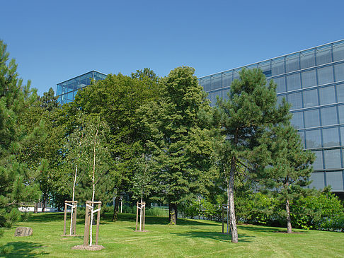 Foto Gläserne Manufaktur