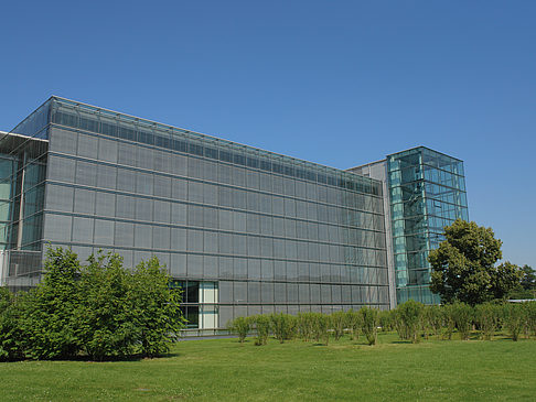 Foto Gläserne Manufaktur mit Wiese - Dresden