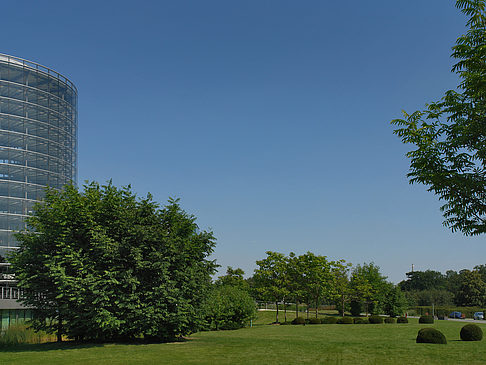 Fotos Gläserne Manufaktur mit Wiese | Dresden
