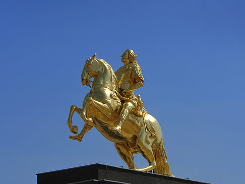 Foto Goldener Reiter Nahaufnahme - Dresden