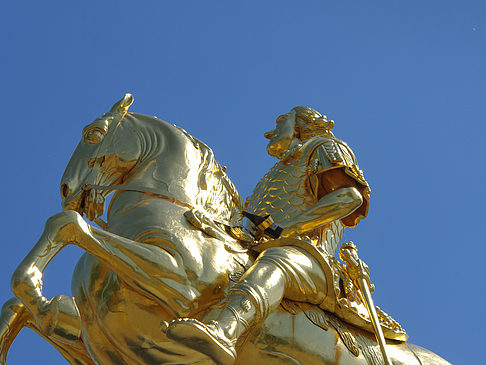 Foto Goldener Reiter Nahaufnahme - Dresden