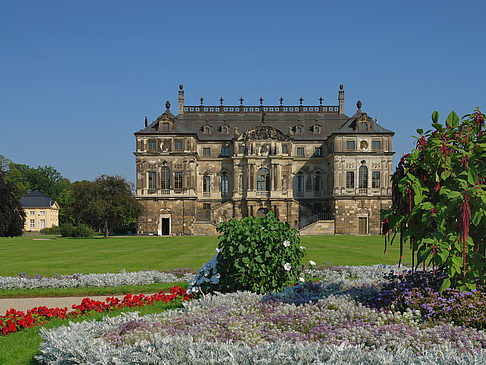 Foto Blumen vor dem Palais - Dresden