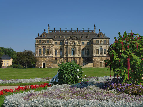 Blumen vor dem Palais