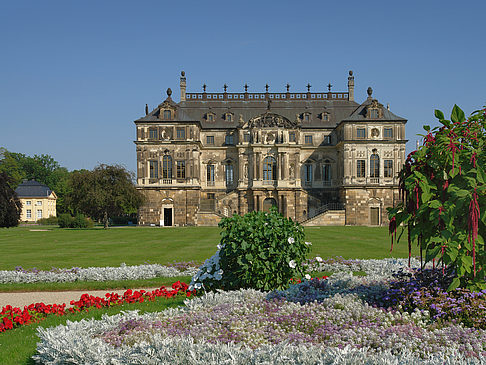 Foto Blumen vor dem Palais