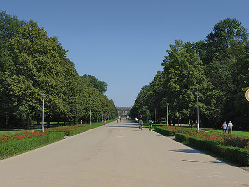 Weg Foto 