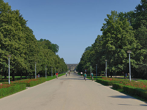 Weg Foto 