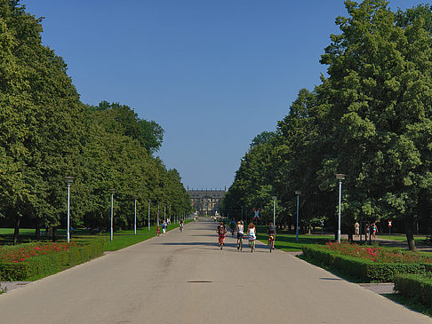 Weg Foto 