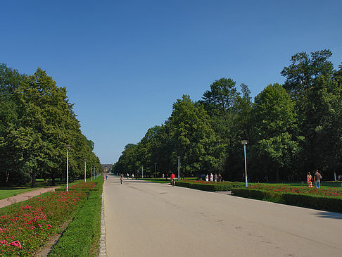 Foto Weg