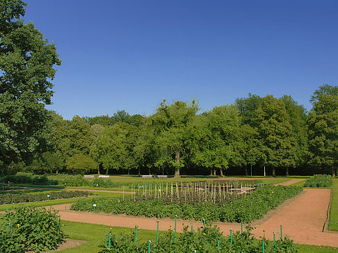 Weg Foto 