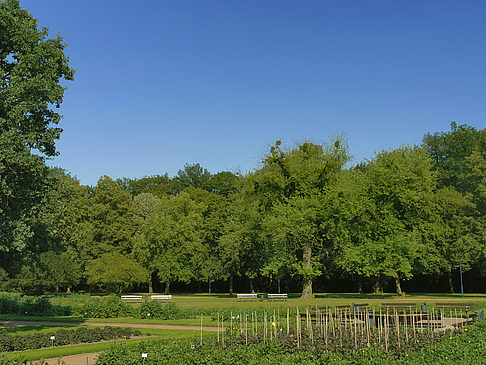 Fotos Weg