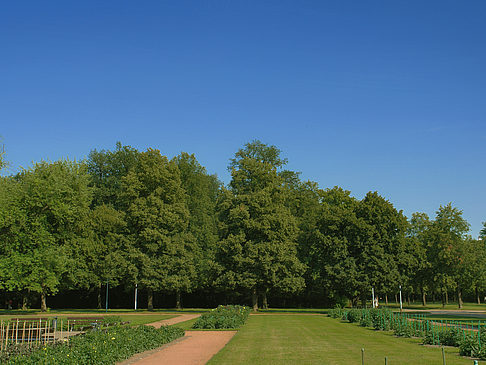 Weg