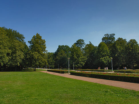 Wiese Foto 