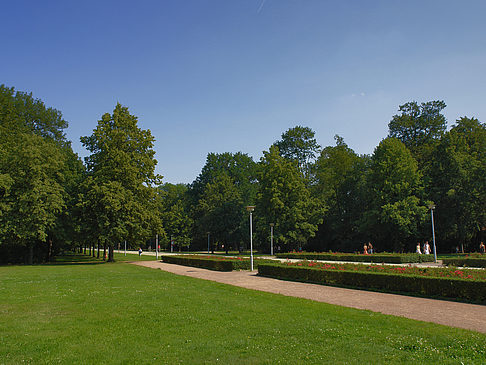 Fotos Wiese | Dresden