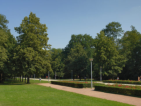 Foto Wiese